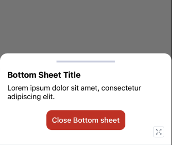 BottomSheet Example Result
